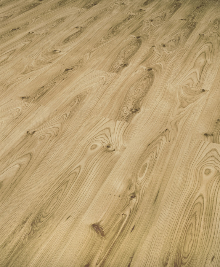 9400 Canadian Elm-8mm